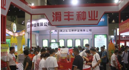 聚焦創(chuàng)新與機(jī)遇 河南滑豐種業(yè)閃耀2021河南夏季種子信息交流產(chǎn)品展